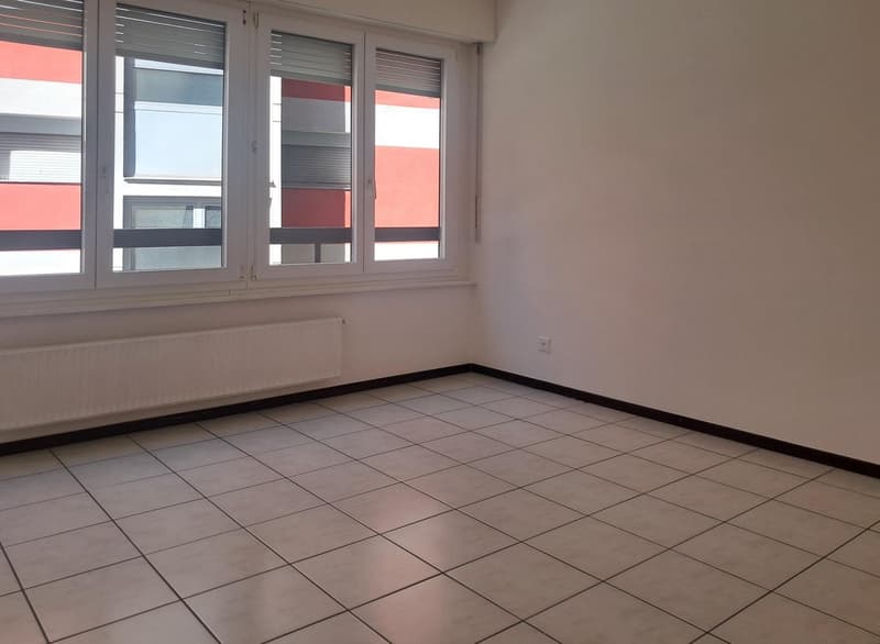 Chiasso: geräumige 5.5-Zimmer-Wohnung mit Balkonen (9)