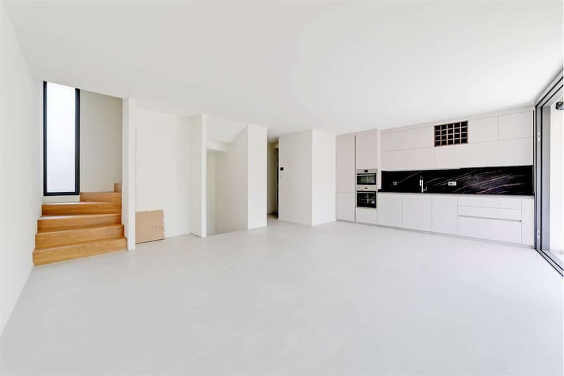 Cadempino: last available villa - unbeatable opportunity (4)