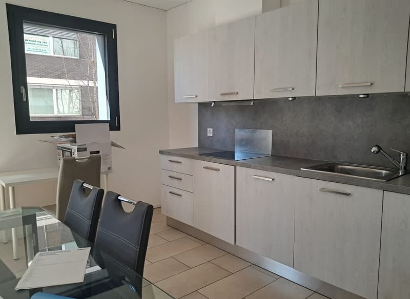 Lugano-Molino Nuovo: appartamento di 3.5 locali con veranda vivibile (5)