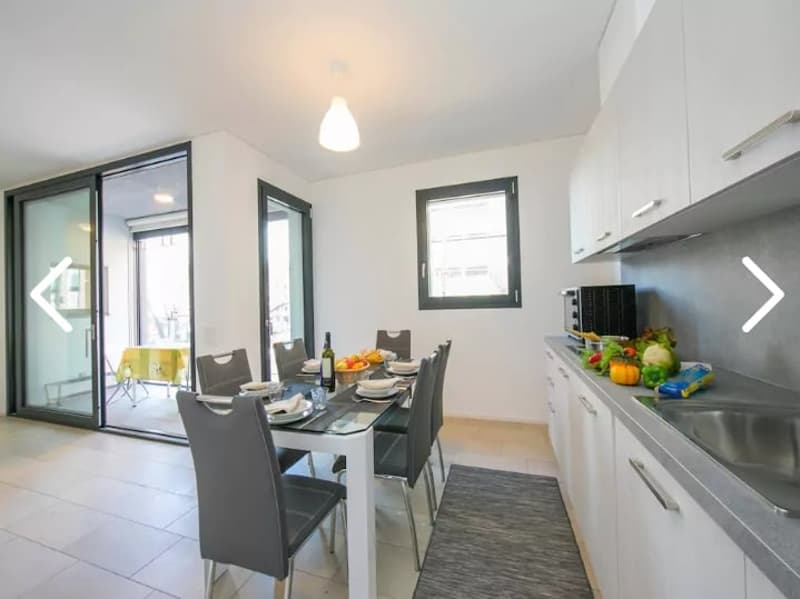 Lugano-Molino Nuovo: appartamento di 3.5 locali con veranda vivibile (2)
