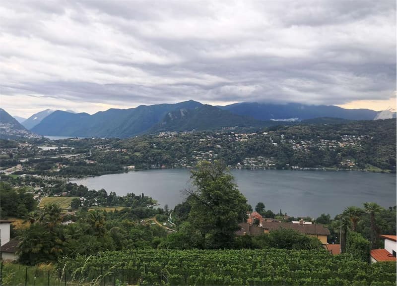 Spazioso 3,5 locali con vista lago (12)