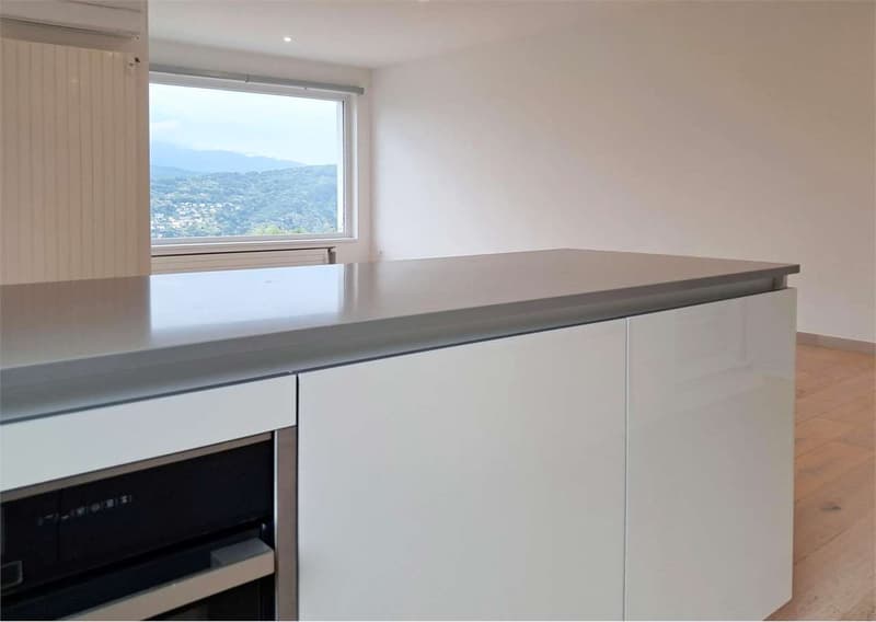 Spazioso 3,5 locali con vista lago (5)