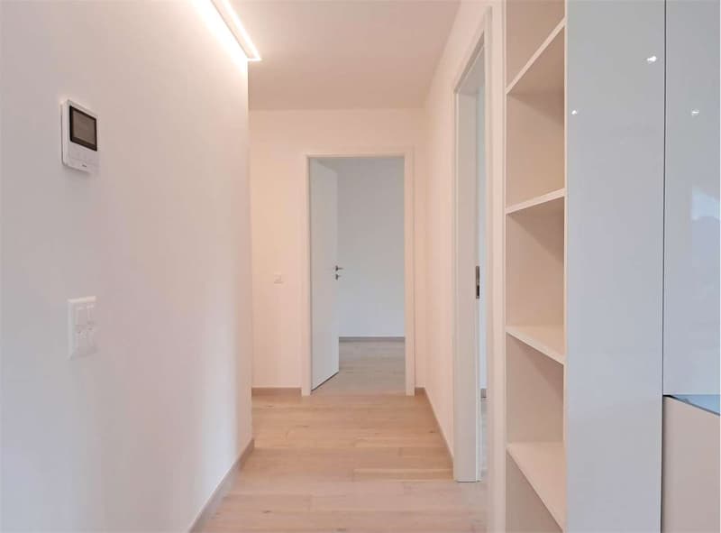 Spazioso 3,5 locali con vista lago (3)