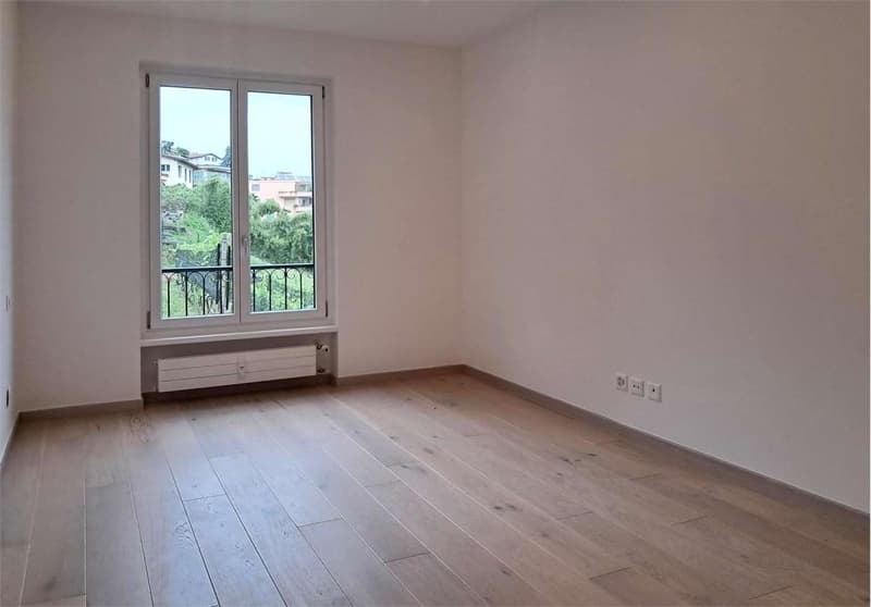 Spazioso 3,5 locali con vista lago (7)