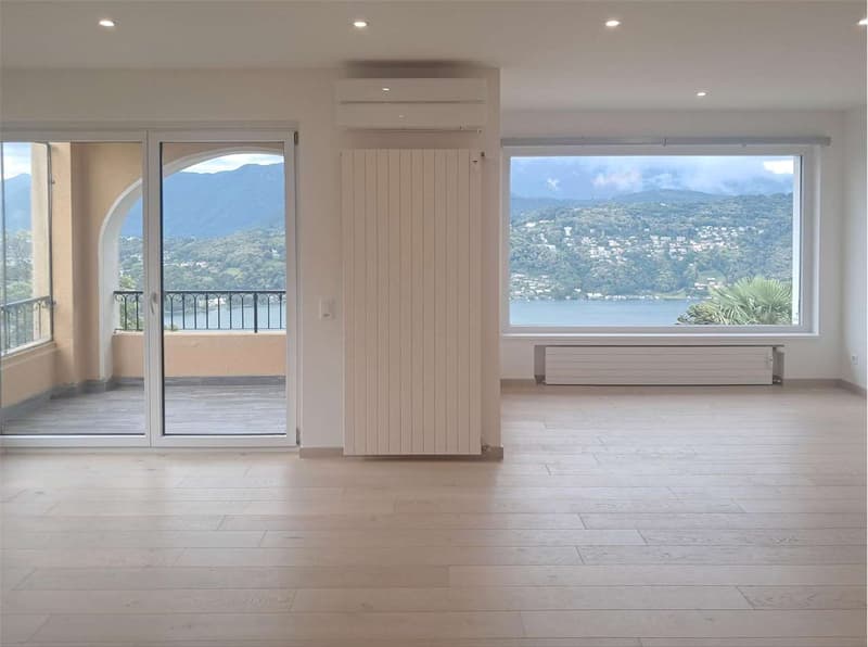 Spazioso 3,5 locali con vista lago (1)