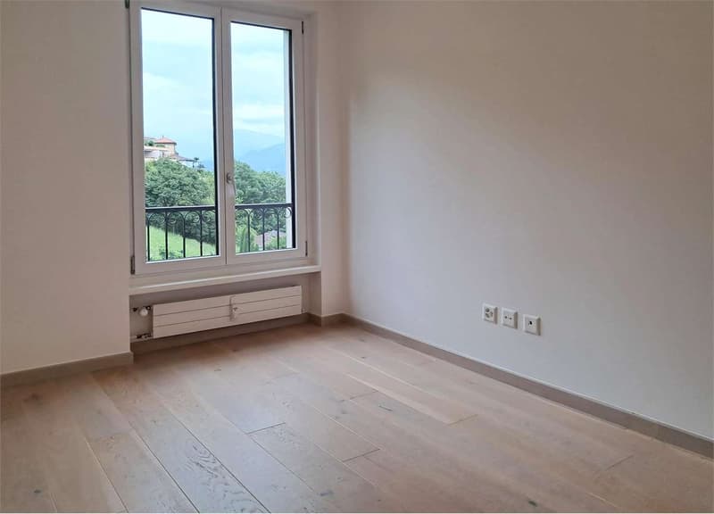 Spazioso 3,5 locali con vista lago (6)