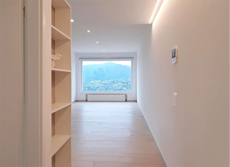 Spazioso 3,5 locali con vista lago (2)