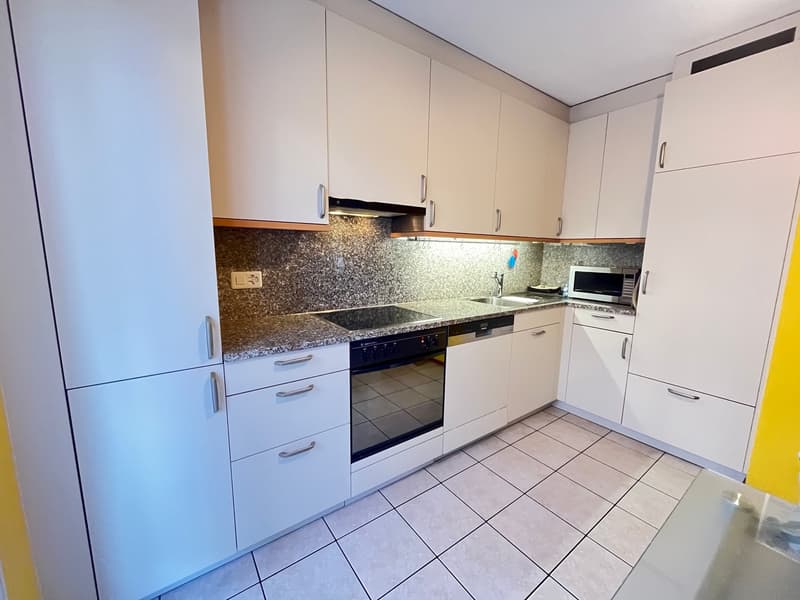 Montagnola: maison unifamiliale avec jardin (3)