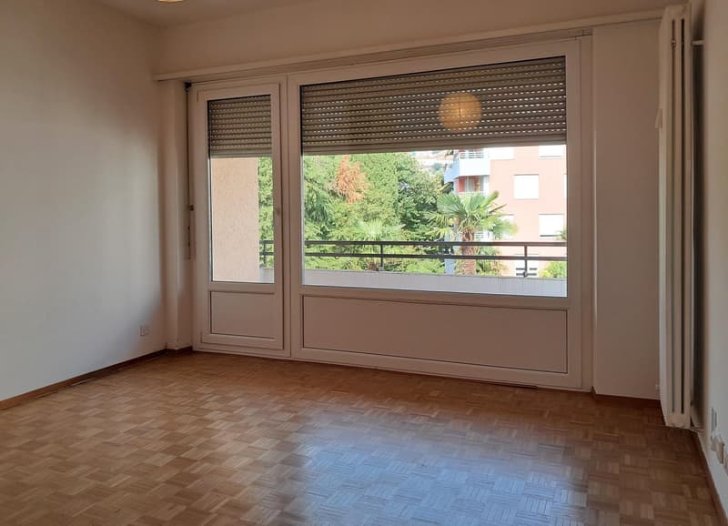Lugano: appartamento di 2.5 locali con balcone (2)