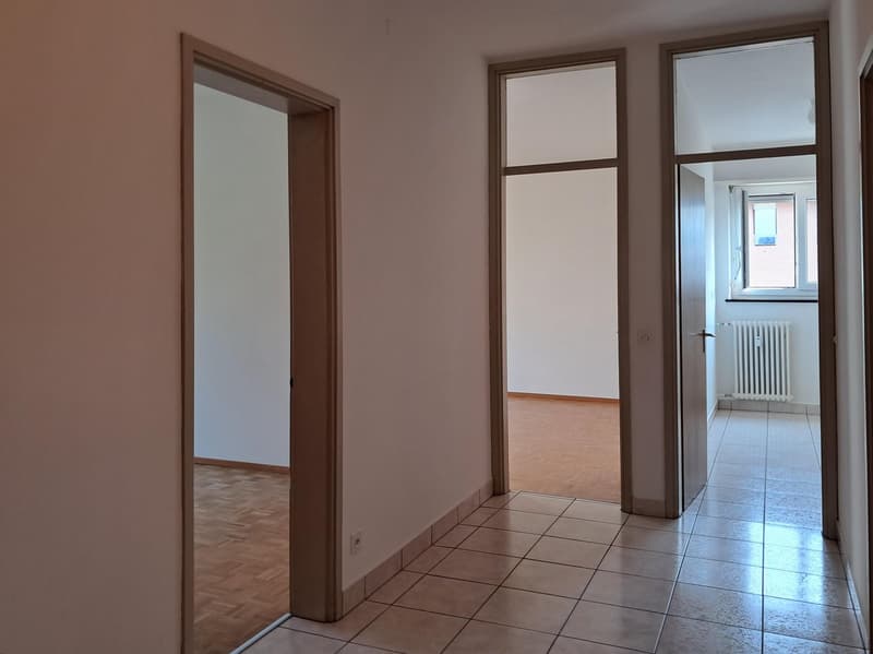 Lugano: appartamento di 2.5 locali con balcone (7)