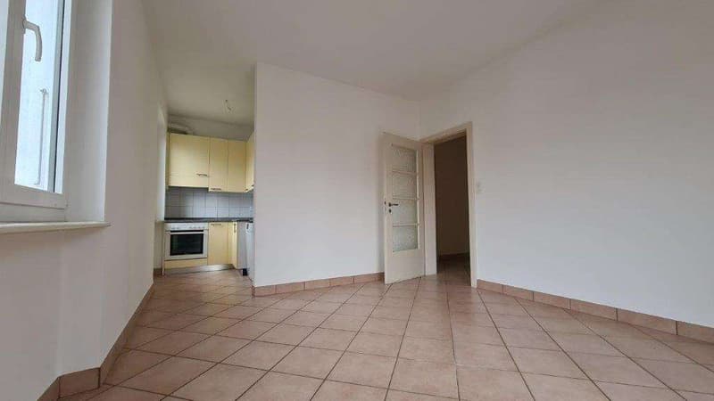 MENDRISIO RANCATE: 4.5 rooms in quiet and sunny area (5)