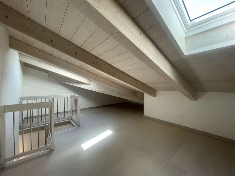 Gentilino: elegantes Apartment mit 2.5 Zimmern und bewohnbarem Dachboden (5)