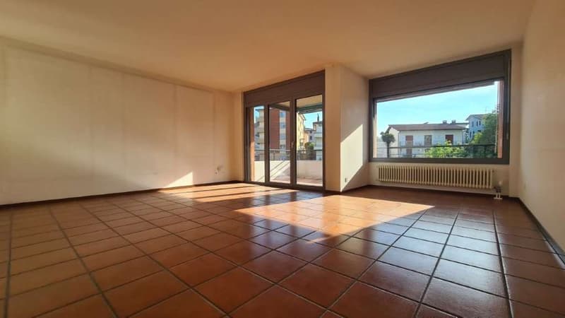 BALERNA: LUMINOSO 4.5 LOC. CON TERRAZZA - PARCO CONDOMINIALE (4)