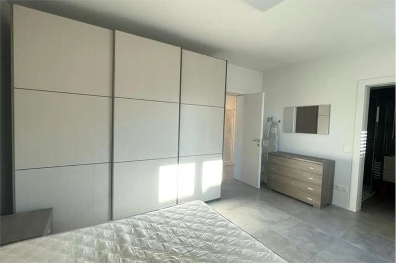 Lugano: recent 4.5-room attic apartment newly furnished (5)