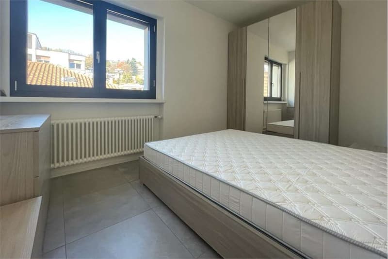Lugano: recent 4.5-room attic apartment newly furnished (8)
