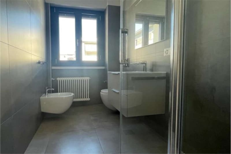 Lugano: recent 4.5-room attic apartment newly furnished (9)