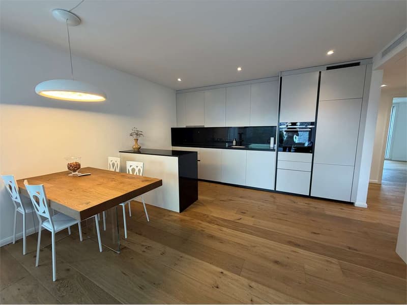 Massagno: 3.5 Zimmer neu gebaut, auch als ZWEITWOHNUNG (4)