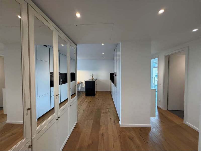 Massagno: 3.5 Zimmer neu gebaut, auch als ZWEITWOHNUNG (6)