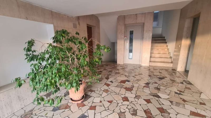 VACALLO: SCHÖNES BÜRO-APARTMENT 2 ZIMMER MIT GARAGE (5)
