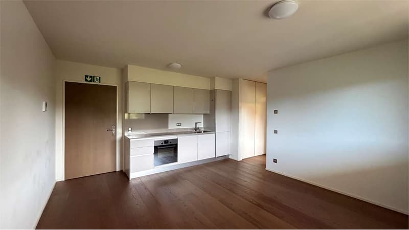 Montagnola: nuovo 2.5 locali in affitto (1)