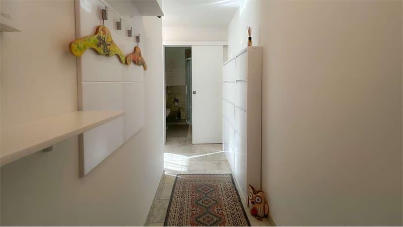 LUMINOSO APPARTAMENTO 3,5 LOCALI CON GIARDINO (12)