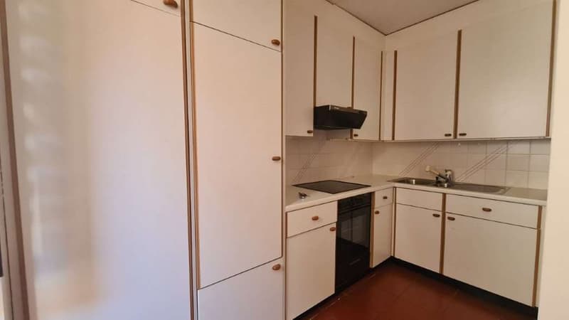 MORCOTE: GRAZIOSO 2.5 LOC. IN ZONA LUNGOLAGO (8)