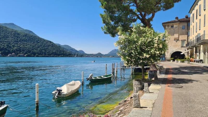 MORCOTE: GRAZIOSO 2.5 LOC. IN ZONA LUNGOLAGO (1)