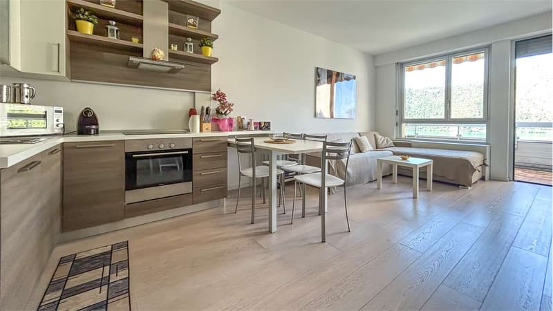 GRAZIOSO APPARTAMENTO 2,5 LOCALI CON VISTA LAGO (6)