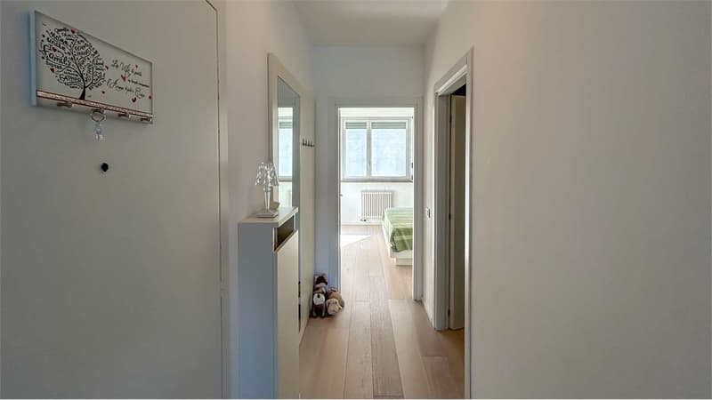 GRAZIOSO APPARTAMENTO 2,5 LOCALI CON VISTA LAGO (9)