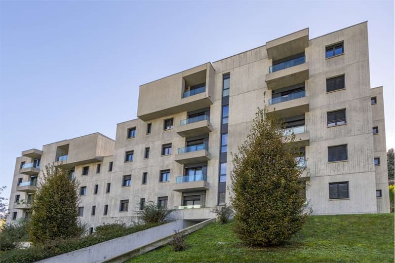 Vacallo luminoso 4.5 loc con grande terrazza e ampi spazi interni (1)