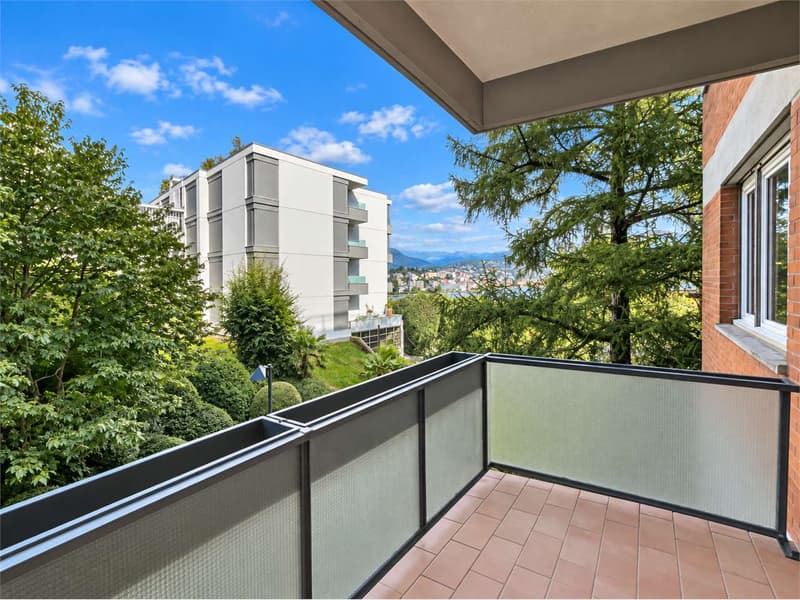 Paradiso: 2.5 locali con piscina condominiale (4)