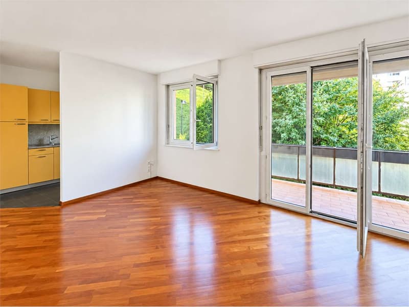Paradiso: 2.5 locali con piscina condominiale (1)