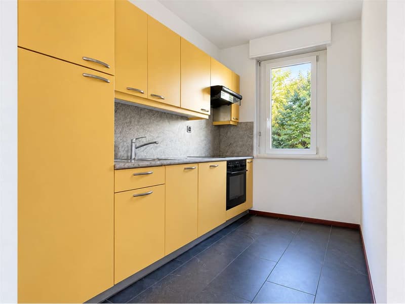 Paradiso: 2.5 locali con piscina condominiale (2)