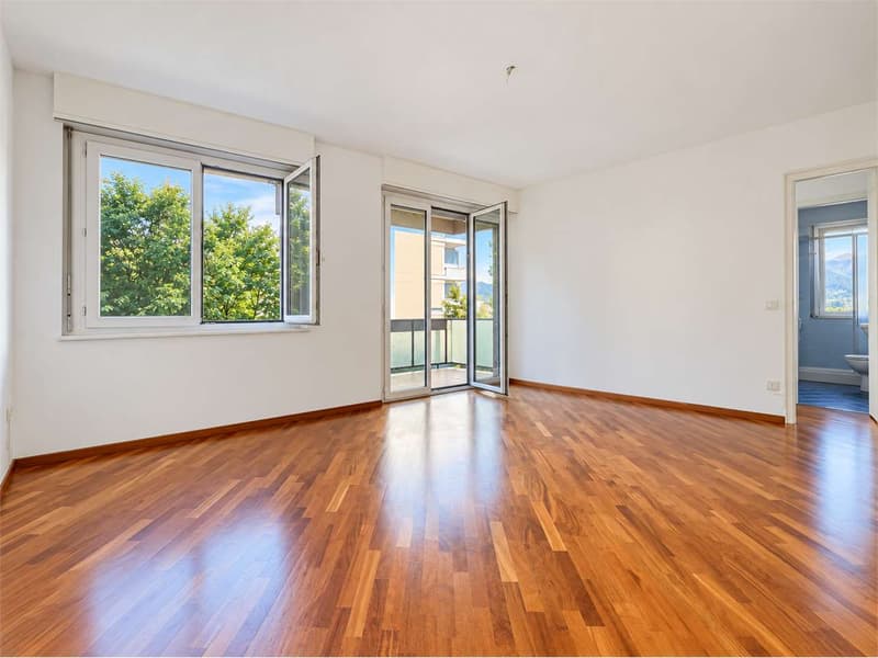Paradiso: 2.5 locali con piscina condominiale (3)