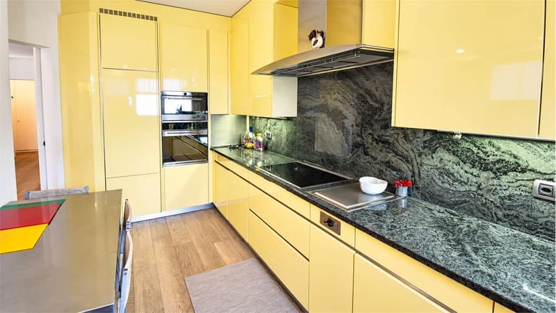 PRESTIGIOSO APPARTAMENTO CON GIARDINO E VISTA LAGO (5)