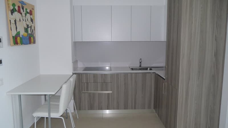 Lugano Viganello: moderno appartamento arredato di 3.5 locali con terrazza (6)
