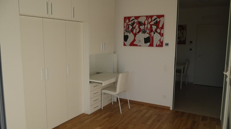 Lugano Viganello: moderno appartamento arredato di 3.5 locali con terrazza (2)