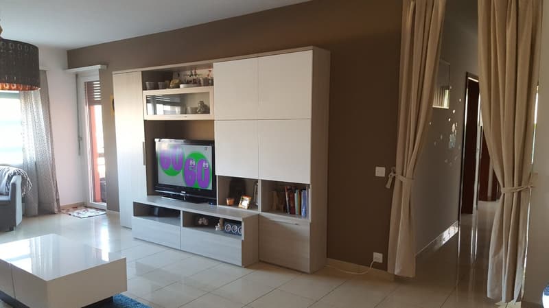 Spacious 4-room apartment (3)