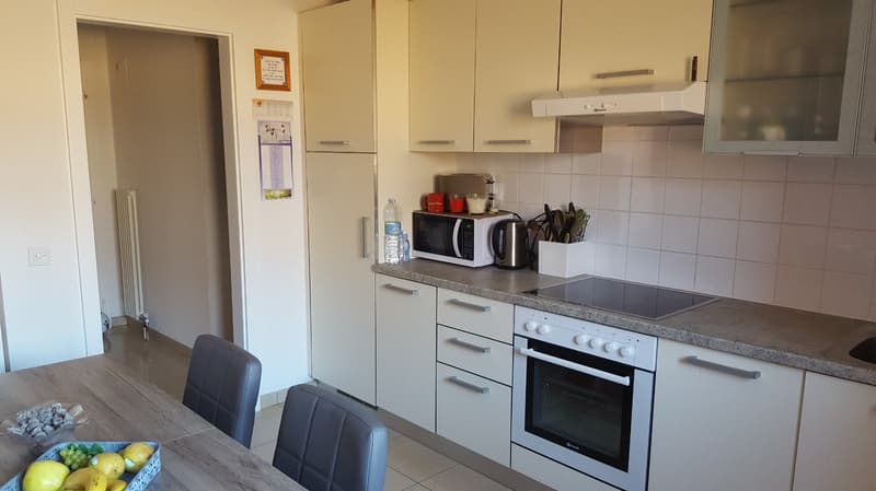 Spacious 4-room apartment (5)