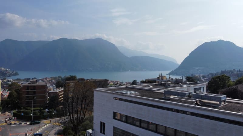 Residenza Selva - Appartamento di 4.5 Locali a Massagno con vista panoramica. (8)