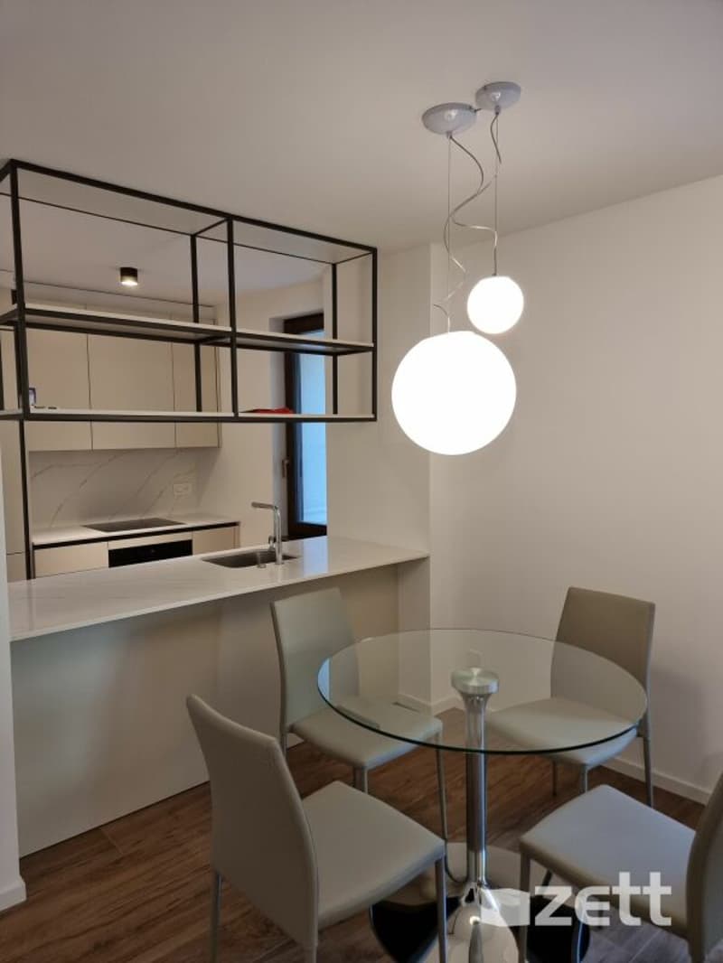 Gravesano - Furnished 2.5-room apartment on the ground floor with private courtyard (5)