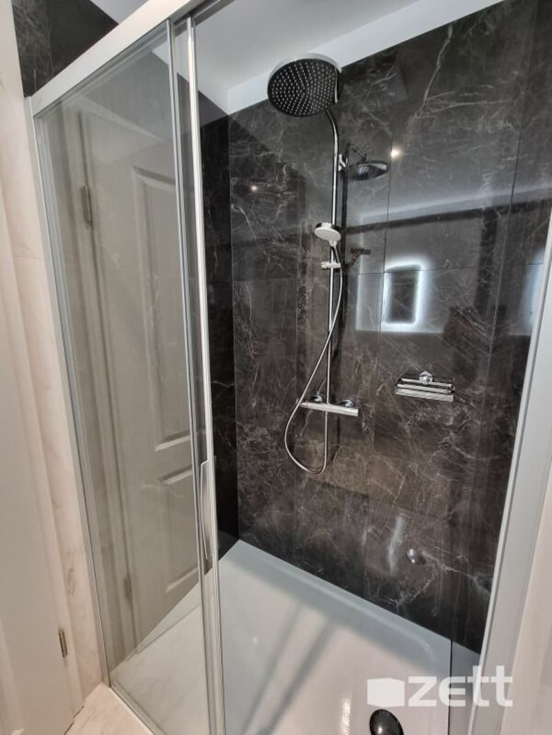 Gravesano - Furnished 2.5-room apartment on the ground floor with private courtyard (8)