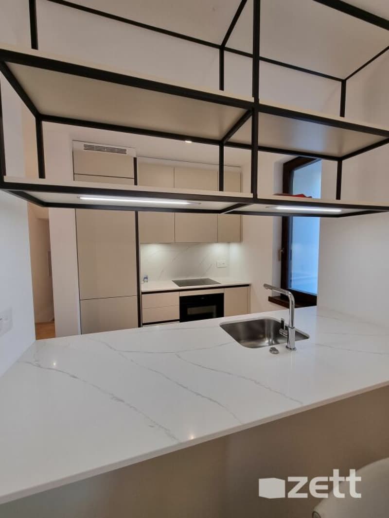 Gravesano - Furnished 2.5-room apartment on the ground floor with private courtyard (4)