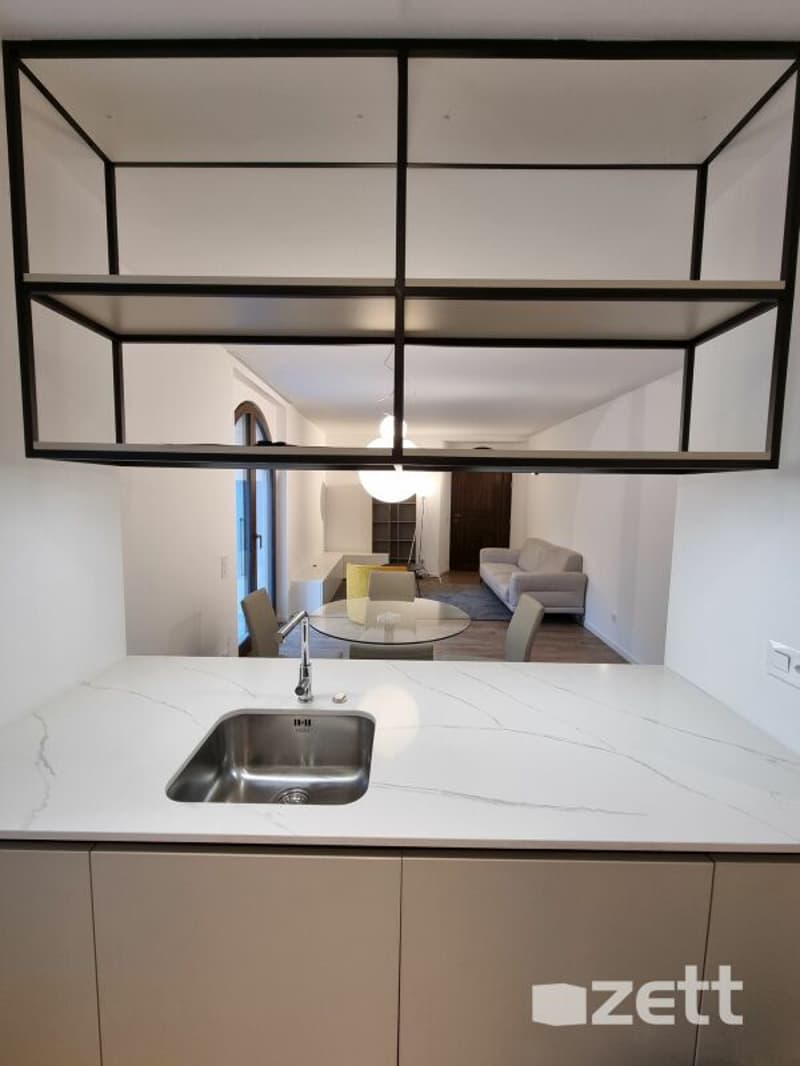 Gravesano - Furnished 2.5-room apartment on the ground floor with private courtyard (3)