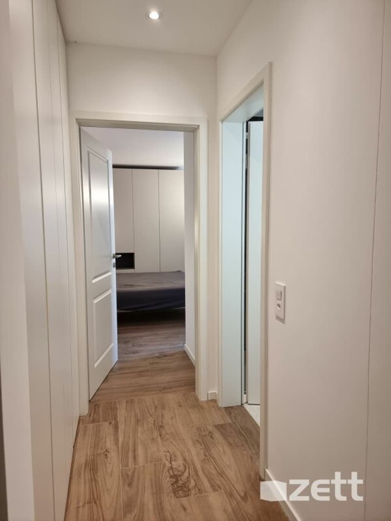 Gravesano - Furnished 2.5-room apartment on the ground floor with private courtyard (6)