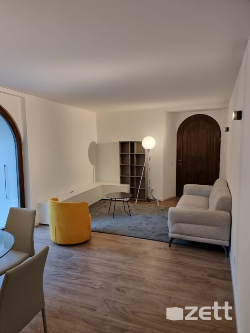 Gravesano - Furnished 2.5-room apartment on the ground floor with private courtyard (2)