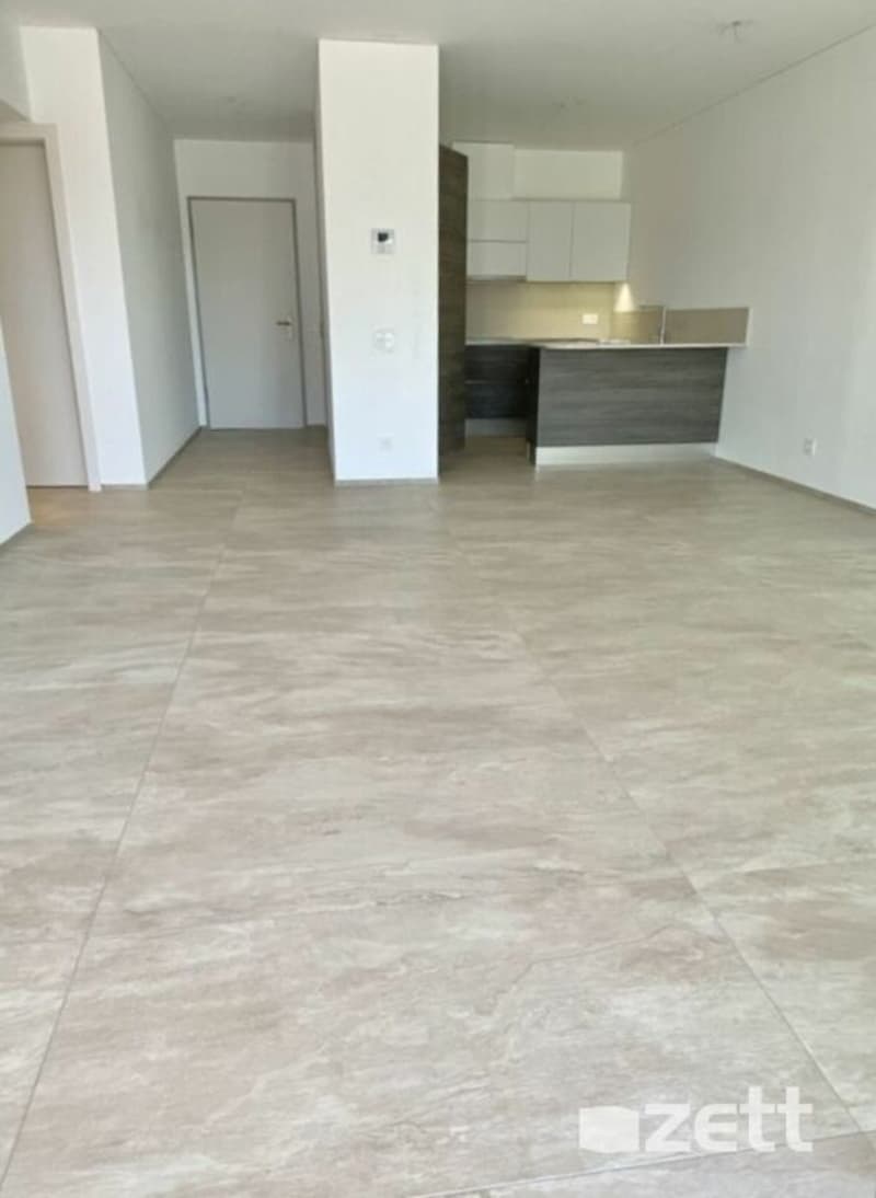 Lugano - Residenza Agorà - 2,5-Zimmer-Wohnung 6. Stock (4)