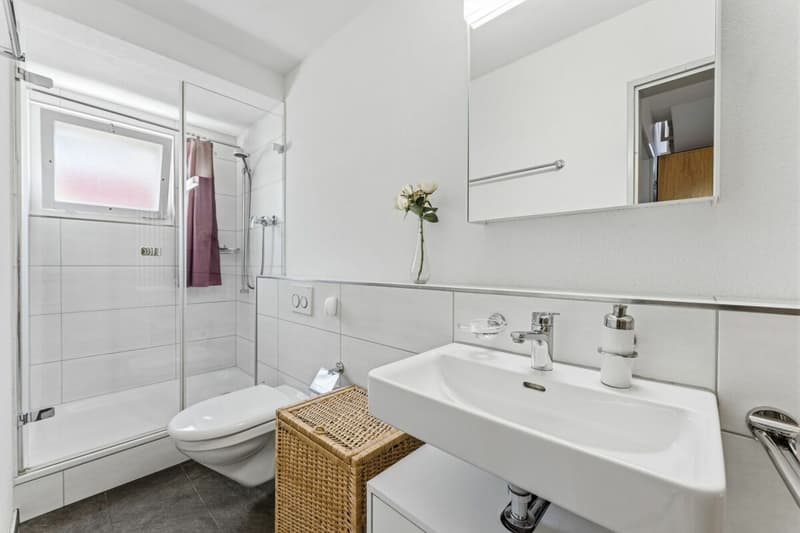 Maison unifamiliale (6)
