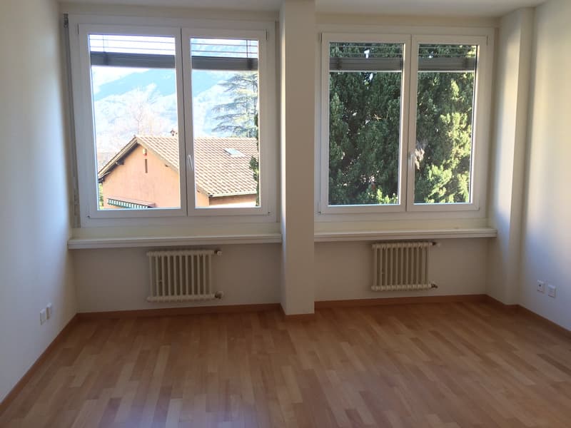 Empty room, wooden floor, white walls, two large windows, white radiators on both sides, exterior view of building