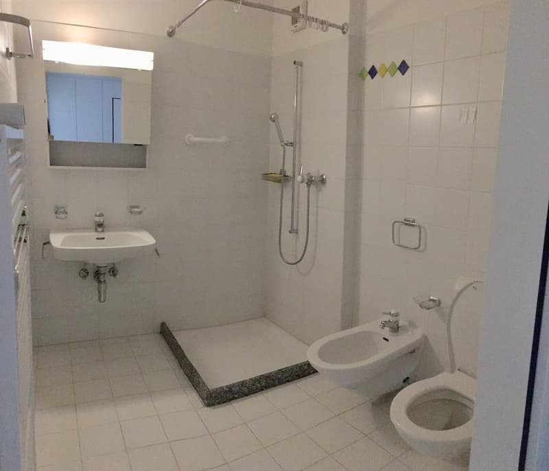 Bright 2.5-room apartment in the center of Lugano (5)